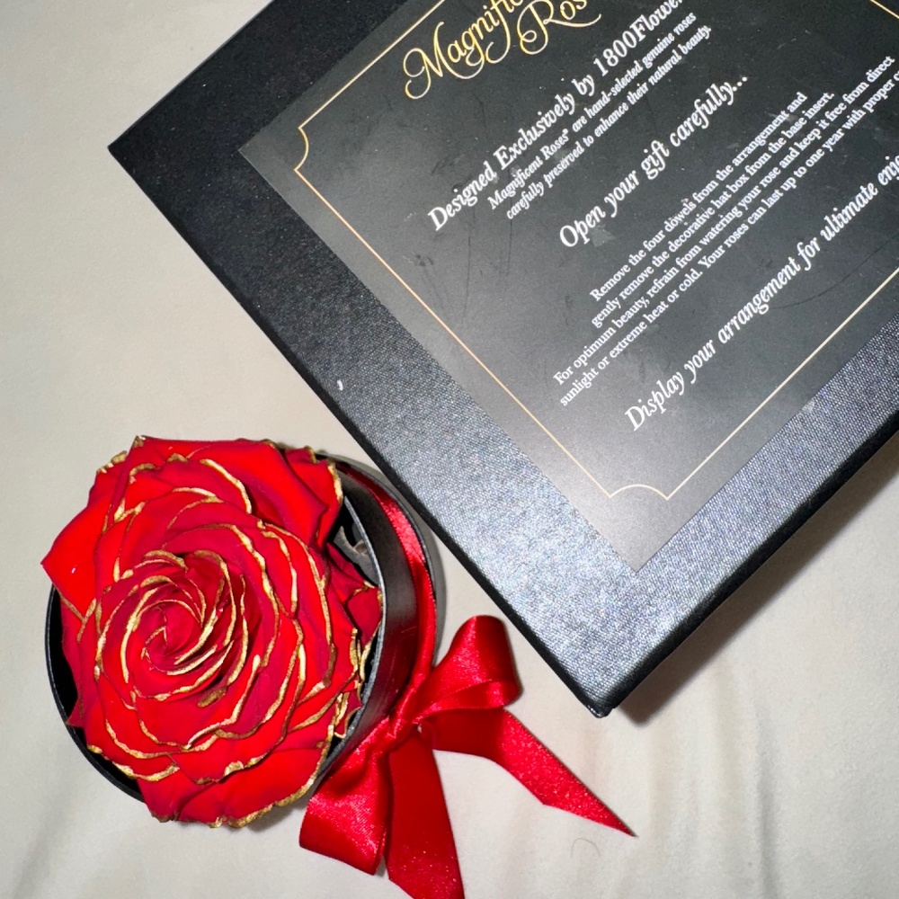 1800Flowers Magnificent Roses® Preserved Gold Kissed Red single rose